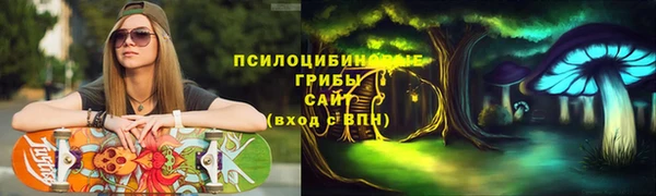 тгк Арсеньев