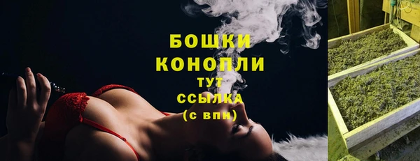 ECSTASY Армянск