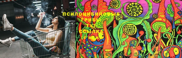 не бодяженный Аркадак