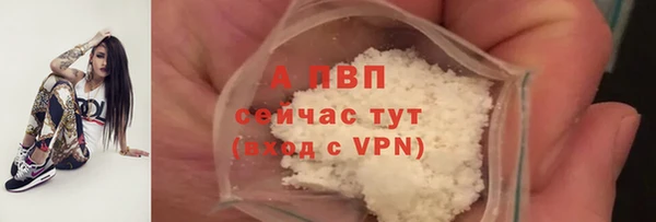тгк Арсеньев