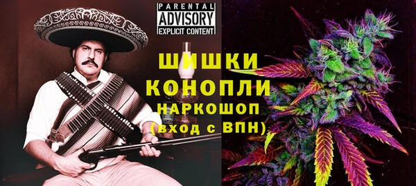 тгк Арсеньев