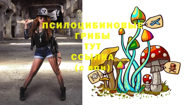 тгк Арсеньев
