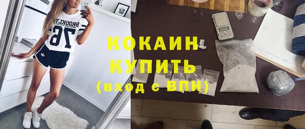 тгк Арсеньев
