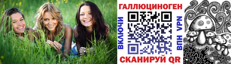KRAKEN tor  Южно-Сухокумск  Псилоцибиновые грибы Psilocybine cubensis 